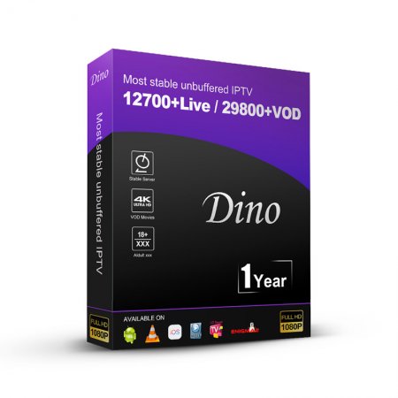 12 mois dino abonnement iptv M3U France Arabic Belgium Spain for ip tv smarters player app